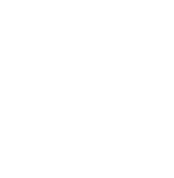 Ernst & Young LLP